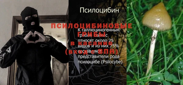 ECSTASY Нея