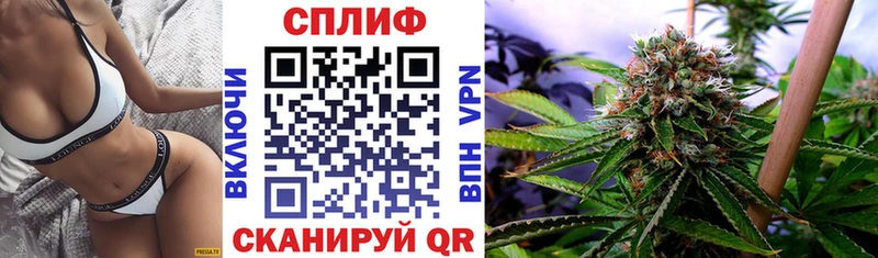 Канабис конопля  Сольвычегодск 